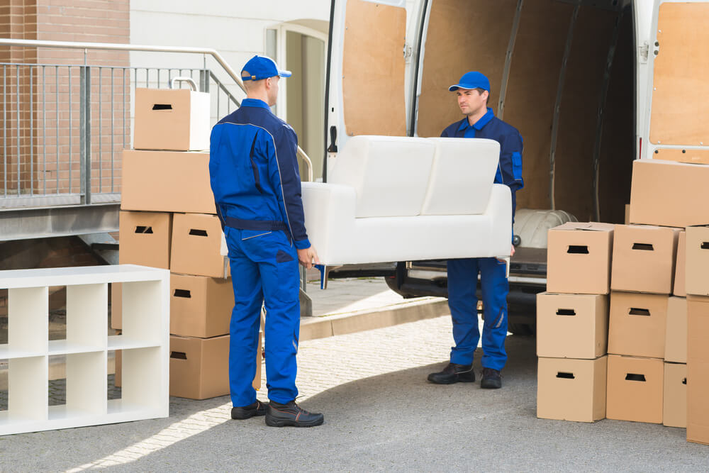 Moving And Storage Companies Hugo
